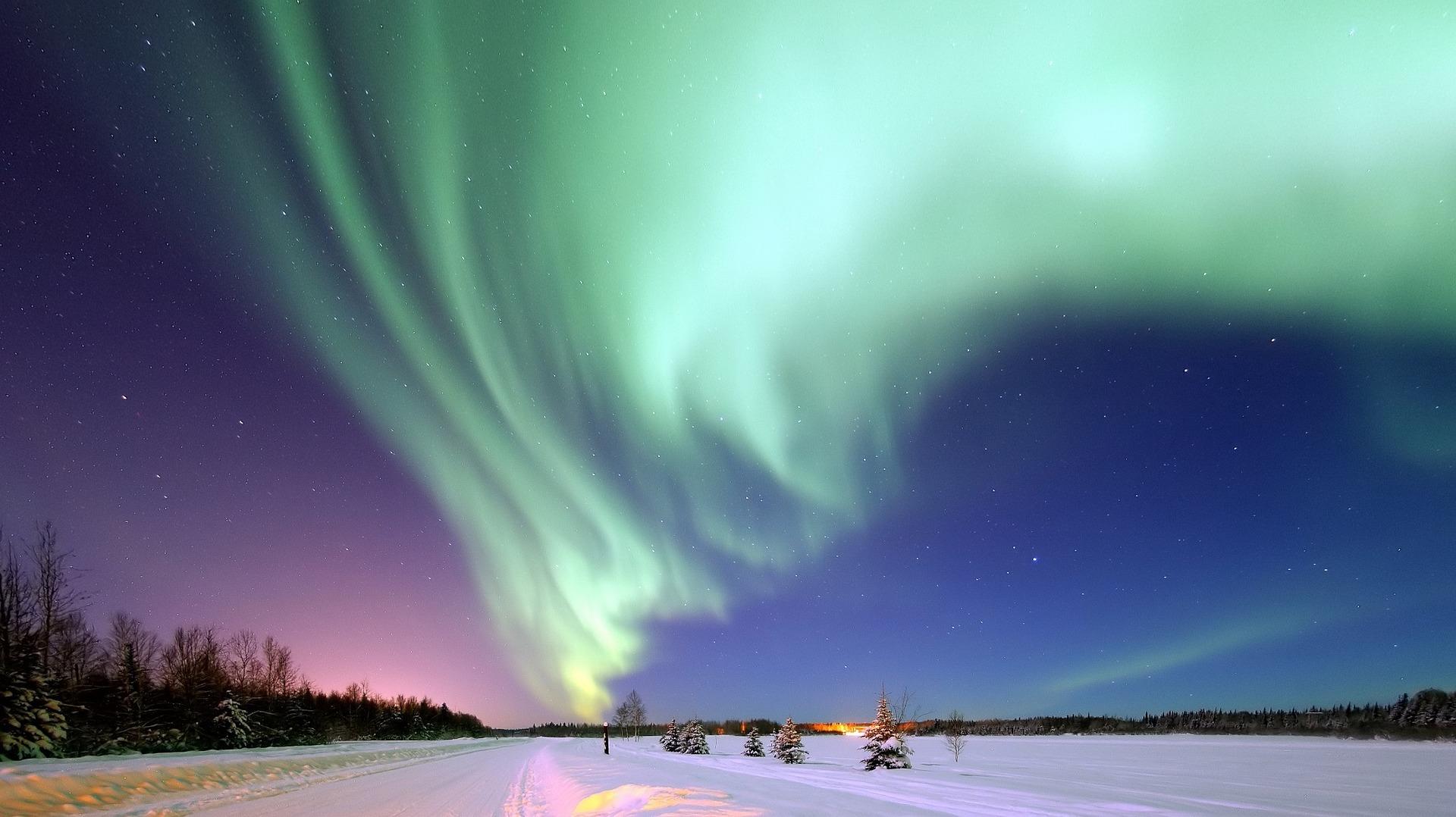 Polar lights polly